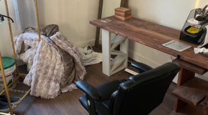 professional junk haulers in Westborough