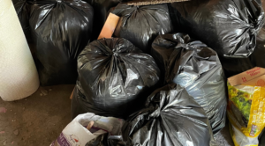 Eco-friendly junk disposal service by Junk Removal Inc